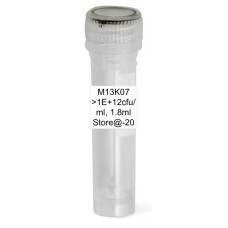M13KO7 M13KO7
