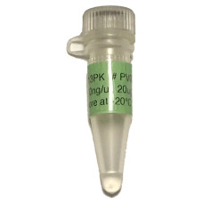M13PK M13PK