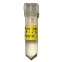 Superphage Superphage