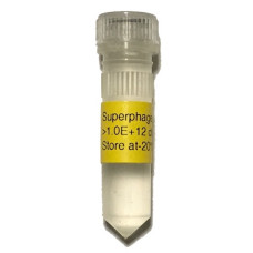 Superphage Superphage