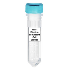Yeast Electrocompetent Cell Preparation