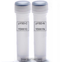 Yeast Display Vectors, low copy Yeast Display Vectors, low copy