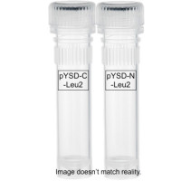 Yeast Display Vectors, premature stop codon killer Yeast Display Vectors, premature stop codon killer