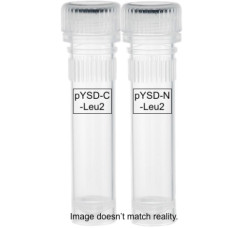 Yeast Display Vectors, premature stop codon killer Yeast Display Vectors, premature stop codon killer
