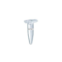 Control DNA for yeast transformation I, 5 x 7.5ug Control DNA for yeast transformation I, 5 x 7.5ug