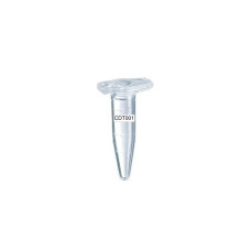 Control DNA for yeast transformation I, 5 x 7.5ug Control DNA for yeast transformation I, 5 x 7.5ug
