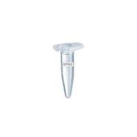 Control DNA for yeast transformation II, 5 x 15ug Control DNA for yeast transformation II, 5 x 15ug