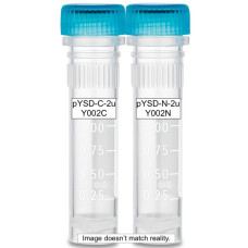 Yeast Display Vectors, high copy (display or secretion) Yeast Display Vectors, high copy (display or secretion)
